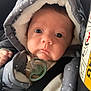 Maël participe au concours pour gagner de l'argent avec cette photo : baby, infant, hood, jacket, pacifier, car_seat, blanket, child, face, eyes, clothing, seatbelt, star_pattern, warm, cute, portrait, indoor, young, newborn, expression