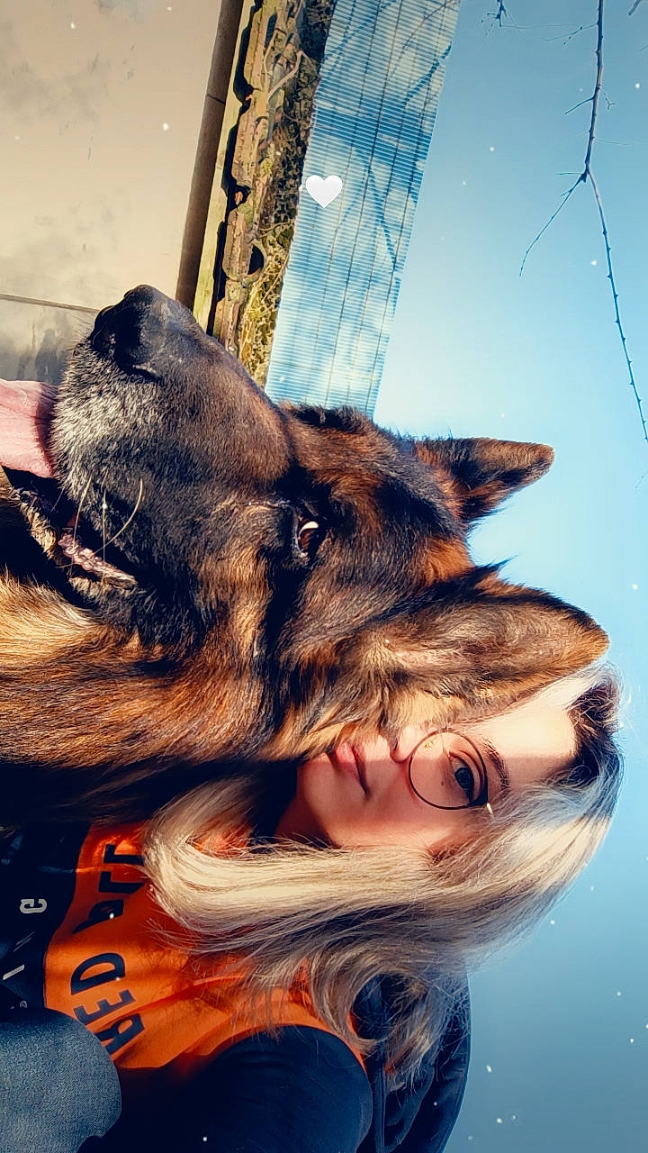 Opium a rejoint le concours — aidez-le/la à gagner de superbes lots ! beard, canidae, carnivore, claw, dog_breed, ear, eyewear, fawn, felidae, fur, gesture, glasses, happy, human_body, jaw, sky, small_to_medium_sized_cats, snout, sporting_group, whiskers