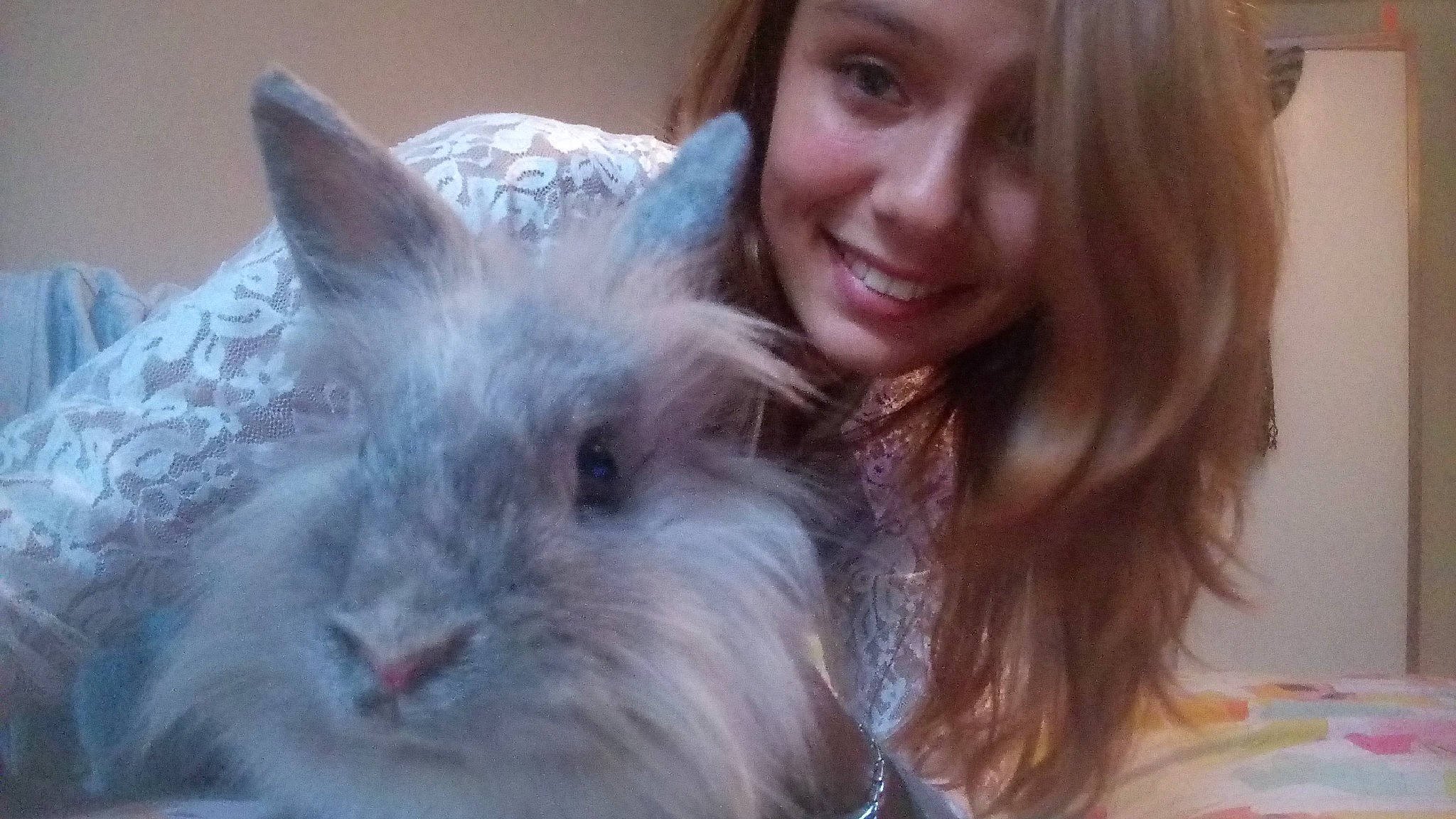 Samy a rejoint le concours — aidez-le/la à gagner de superbes lots ! angora_rabbit, domestic_rabbit, ear, hare, joy, mammal, person, rabbit, rabits_and_hares, snout, whiskers