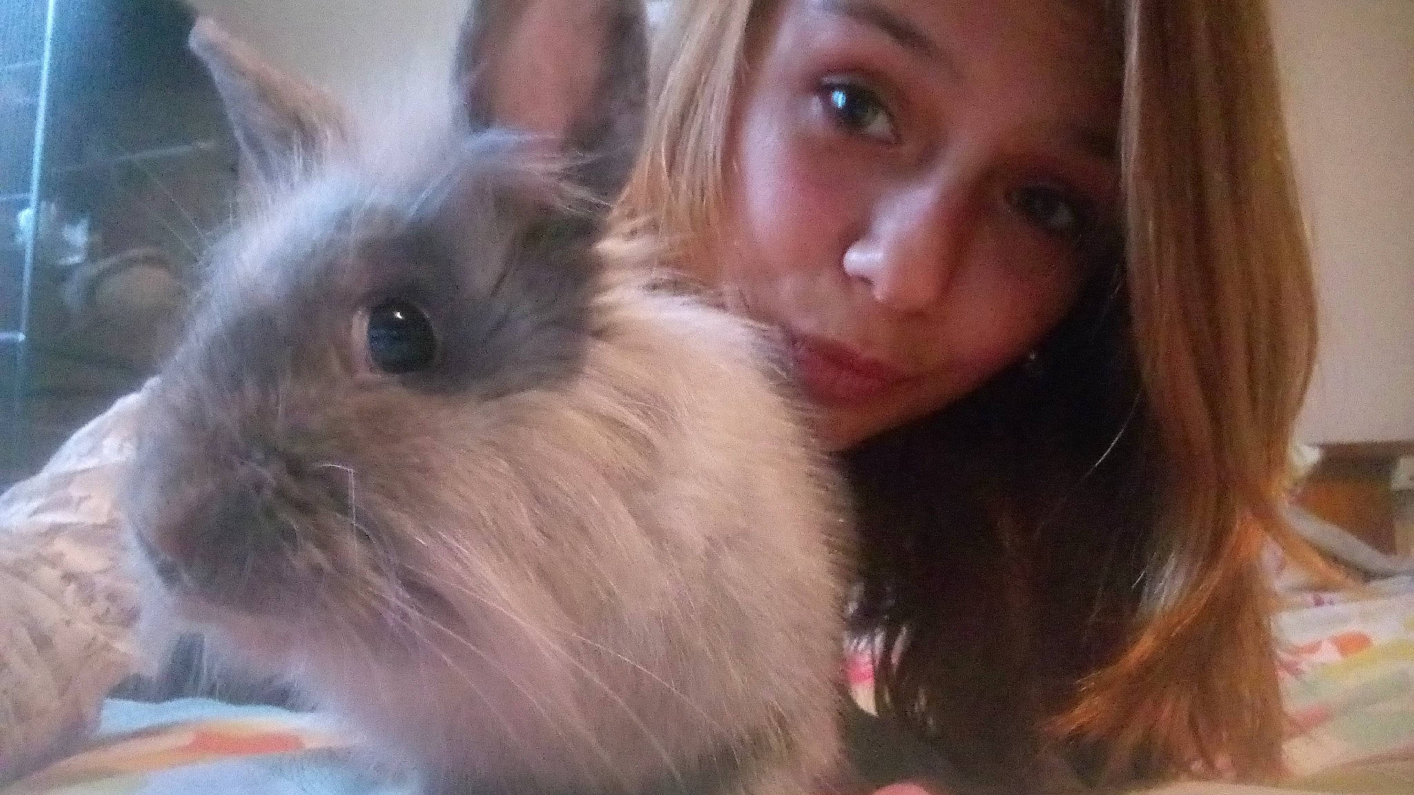 Samy participe au concours pour gagner de l'argent avec cette photo : angora_rabbit, domestic_rabbit, ear, person, rabbit, rabits_and_hares, skin, snout, whiskers