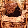 Linux a rejoint le concours — aidez-le/la à gagner de superbes lots ! black_cat, cat, armchair, cushion, pillow, vintage_furniture, patterned_fabric, indoor, cozy, resting, pet, feline, striped_cushion, stone_wall, wooden_leg, floor_rug, relaxed, decor, home_interior, warm_lighting