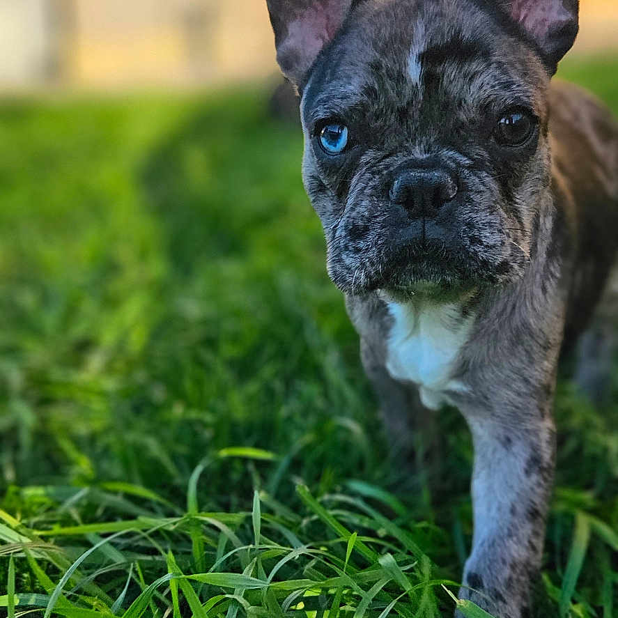 Vicky