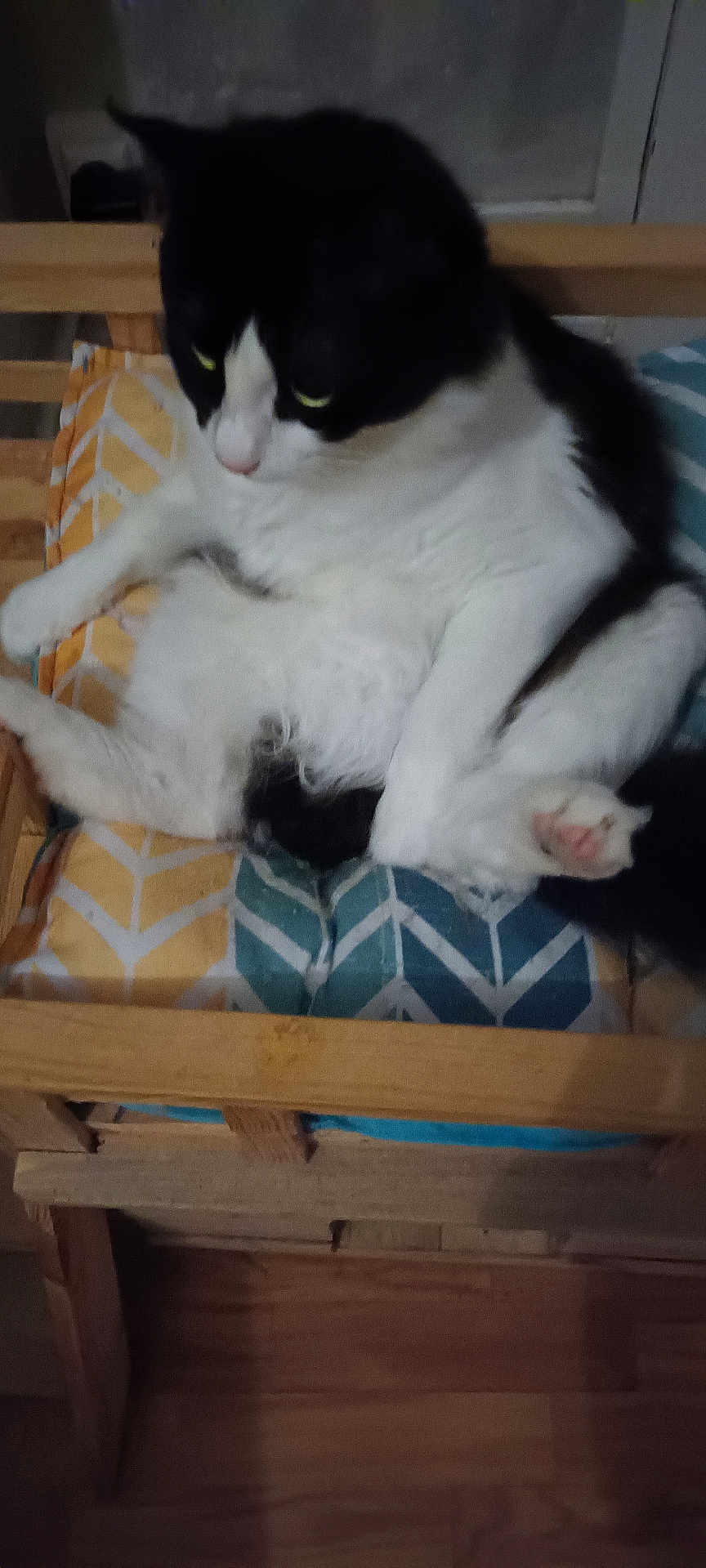 Tchoupi