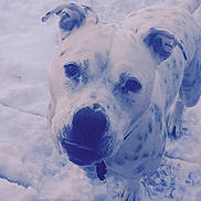 Brody joined the competition — help win amazing prizes!