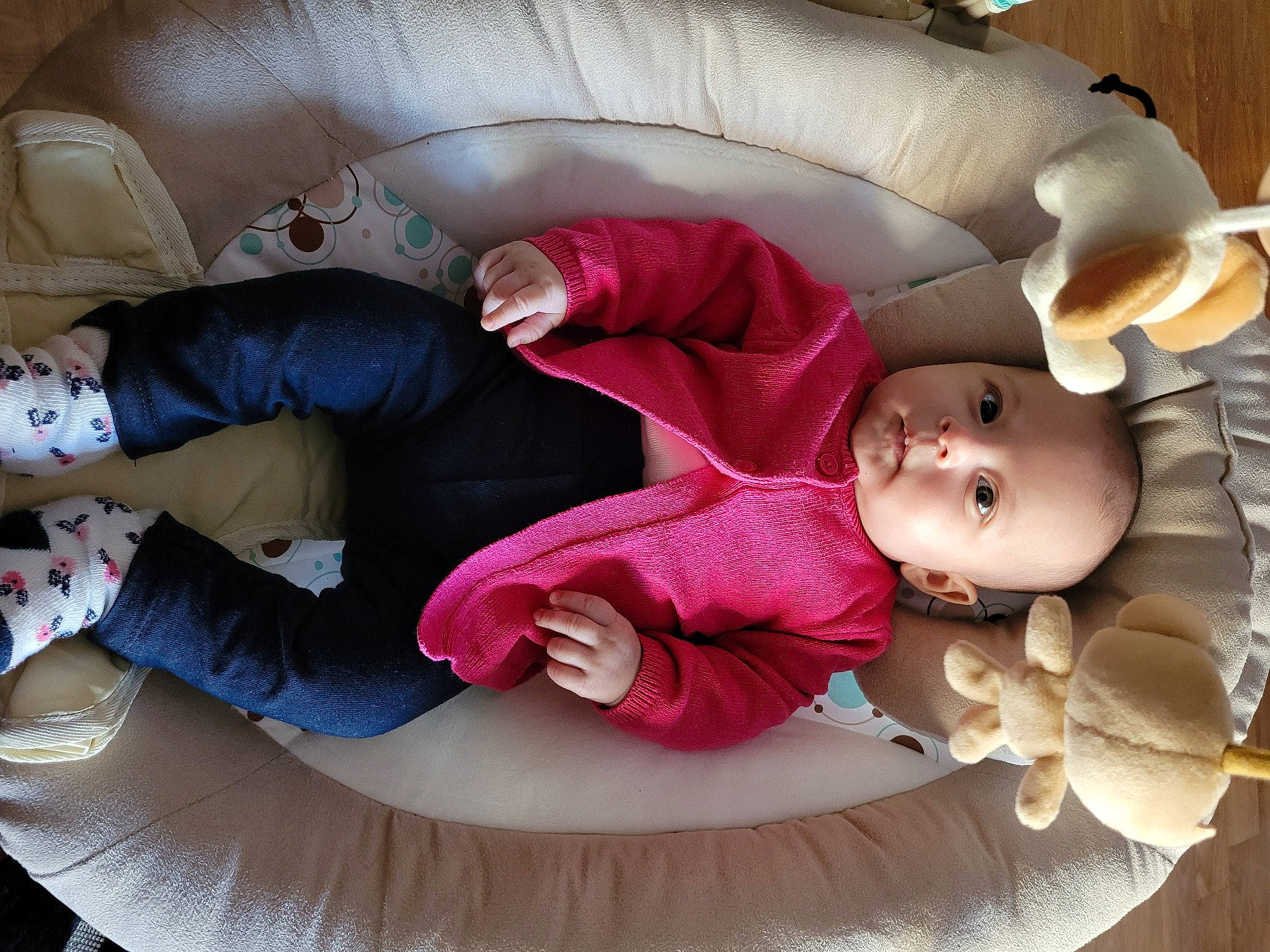 Hania participe au concours pour gagner de l'argent avec cette photo : baby, baby_products, baby_toddler_clothing, child, comfort, fun, happy, lap, linens, magenta, mammal, person, pink, product, sitting, smile, textile, toddler, toy, vertebrate