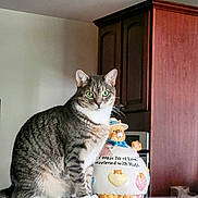 Kenneth joined the competition — help win amazing prizes! cat, tabby_cat, pet, feline, green_eyes, cookie_jar, ceramic, kitchen, cabinet, countertop, indoor, sitting, whiskers, paws, portrait, curious, home, furniture, figurine, domestic_animal