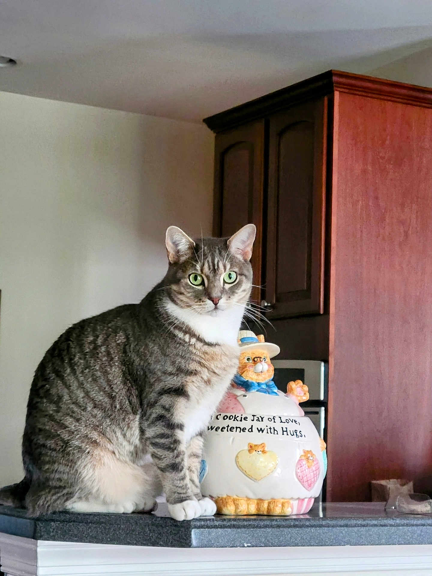 Kenneth joined the competition — help win amazing prizes! cat, tabby_cat, pet, feline, green_eyes, cookie_jar, ceramic, kitchen, cabinet, countertop, indoor, sitting, whiskers, paws, portrait, curious, home, furniture, figurine, domestic_animal