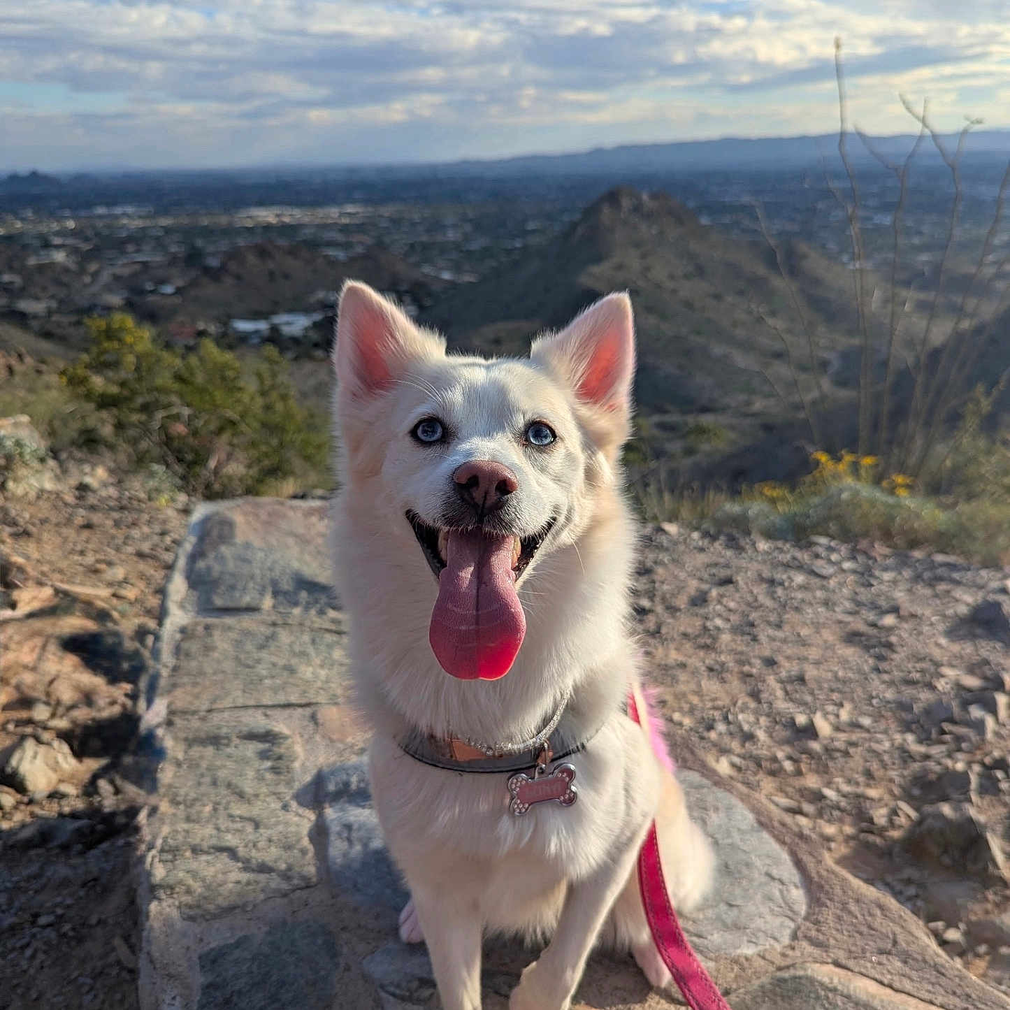 Luna