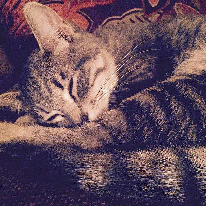 Missy