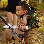 Sophia Petrillo Hennessey is registered to the contest to win money with this photo: carnivore, child, collar, companion_dog, dog, dog_breed, fawn, grass, happy, leaf, leash, leisure, people_in_nature, pet_supply, photograph, recreation, sneakers, toddler, tree, working_animal