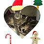 animal, cat, cats, christmas, collage, cozy, cute, cute_animals, decorations, festive, heart_shape, holiday, illustration, indoor, pet, resting, santa_hat, sleeping, snuggling, tabby