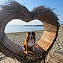 dog, beach, sand, bench, heart_shape, wood, twigs, sea, sky, sunlight, outdoor, pet, animal, nature, happy, tongue_out, calm, summer, vacation, relaxation