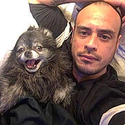 Pegasus joined the competition — help win amazing prizes! animal, bed, black_clothing, casual, closeup, dog, face, facial_hair, fluffy, happy, indoor, lying_down, man, person, pet, relaxed, resting, short_hair, small_dog, smiling