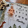 Steven is registered to the contest to win money with this photo: baby, blanket, celebration, child, clothing, cow_toy, cute, forest_print, fox_print, indoors, infant, lying_down, milestone_blanket, months, numbers, orange_onesie, plush_toy, portrait, trees, wood_floor
