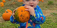 Ollie is registered to the contest to win money with this photo: baby, clothing, face, field, food, grass, head, nature, outdoors, pants, person, photography, plant, portrait, produce, pumpkin, soil, squash, vegetable, vegetation