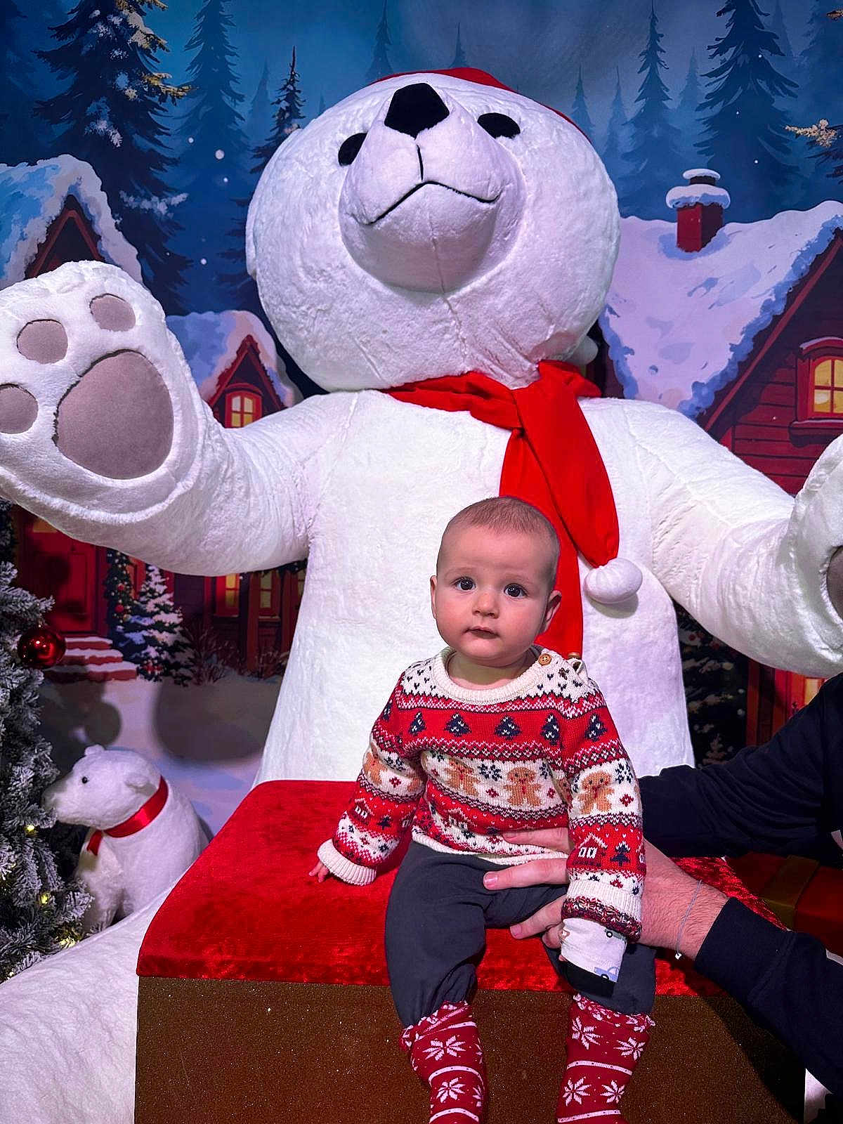 Austin a rejoint le concours — aidez-le/la à gagner de superbes lots ! baby, ball, clothing, face, festival, head, hosiery, knitwear, nature, outdoors, pants, people, person, photography, portrait, sitting, snow, sock, sweater, winter