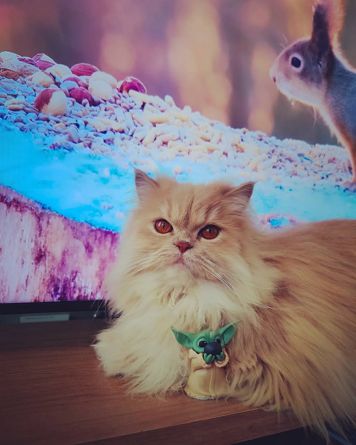 Grogu joined the competition — help win amazing prizes! blue, carnivore, cat, fawn, felidae, fur, green, light, mammal, photograph, plant, rodent, small_to_medium_sized_cats, snapshot, snout, tail, vertebrate, whiskers, window, wood