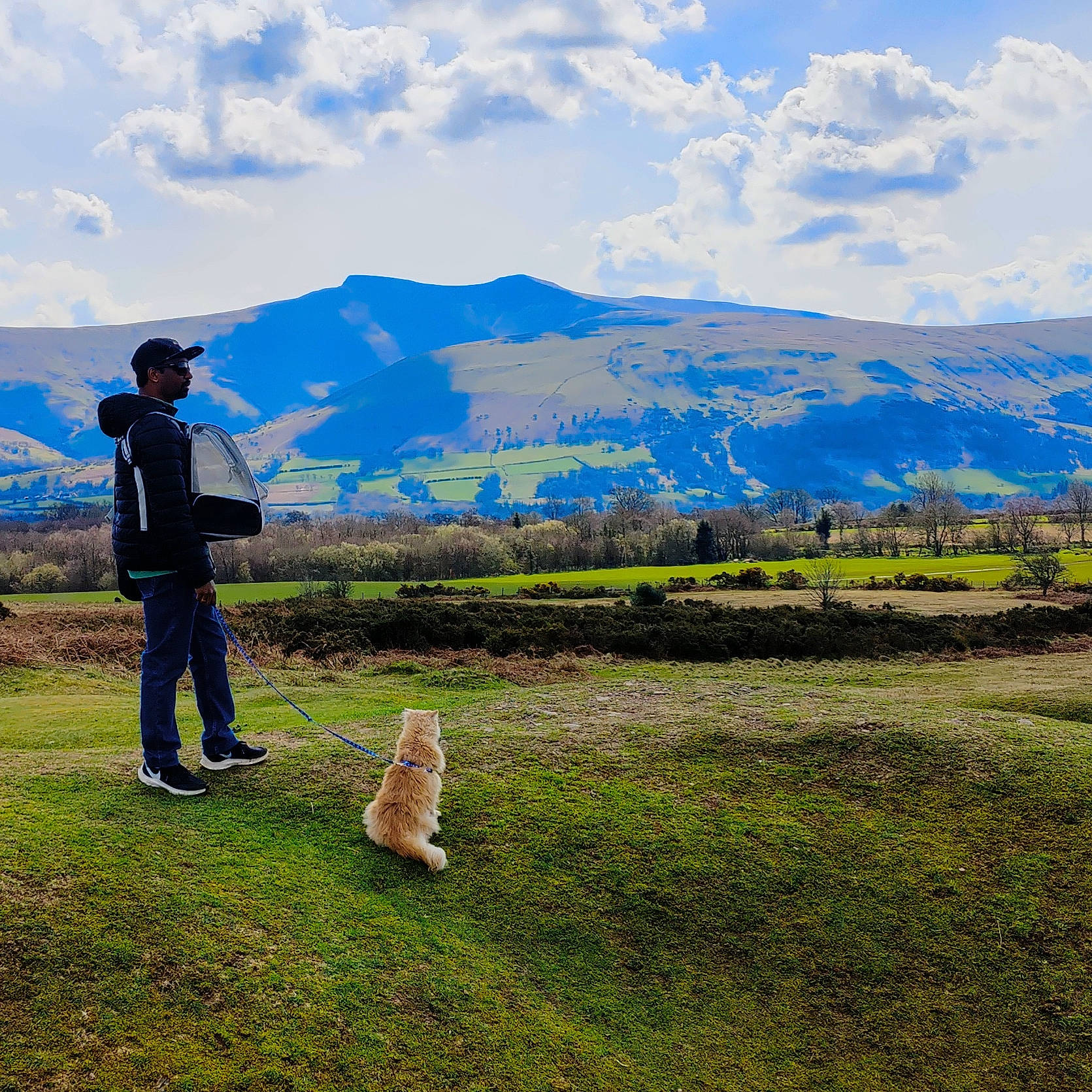 Grogu joined the competition — help win amazing prizes! cloud, cumulus, grass, grassland, highland, hill, landscape, leisure, meadow, mountain, mountain_range, natural_landscape, people_in_nature, plain, plant, prairie, recreation, road, sky, tree