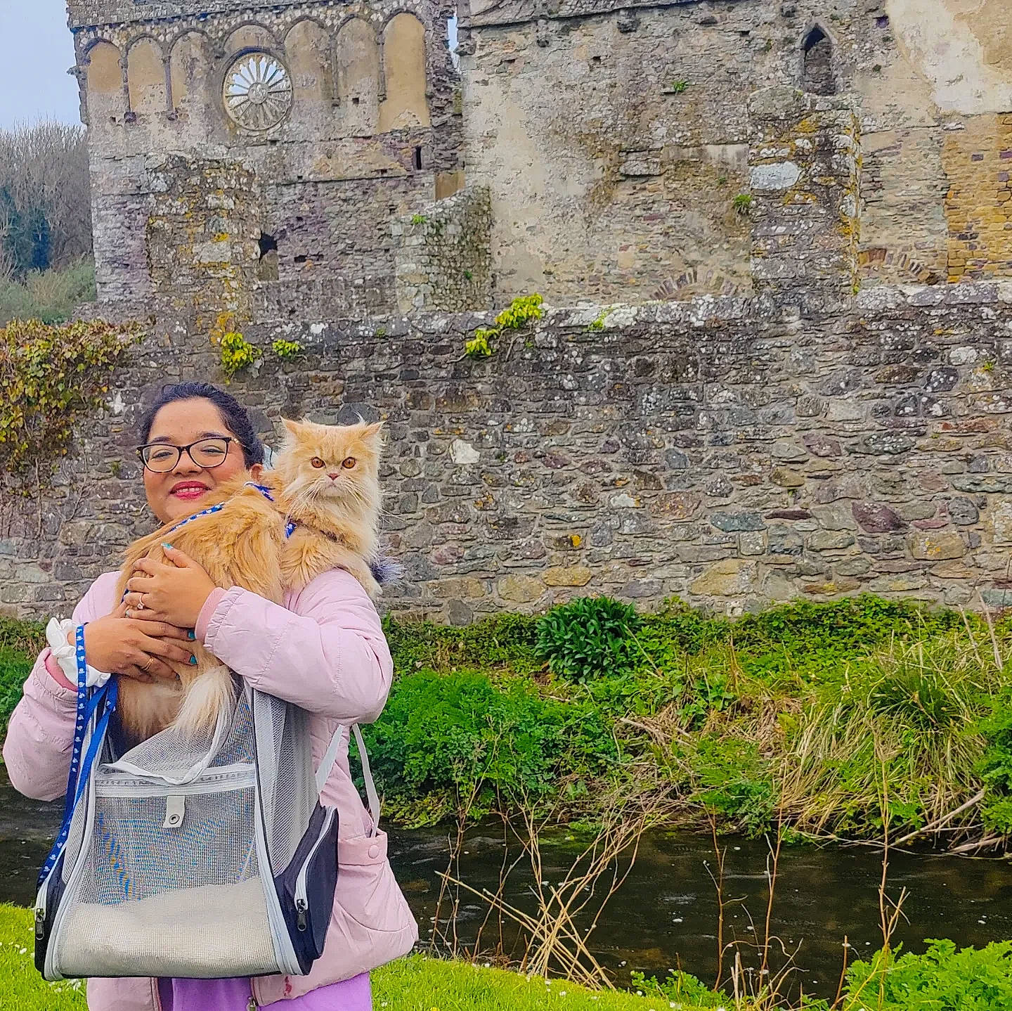 Grogu joined the competition — help win amazing prizes! bag, brick, fawn, felidae, fur, grass, grass_family, grassland, green, happy, history, leisure, luggage_and_bags, people_in_nature, plant, sitting, small_to_medium_sized_cats, smile, stone_wall, travel