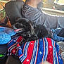 Bruce joined the competition — help win amazing prizes! dog, black_dog, blanket, star_pattern, car_interior, man, beard, braided_hair, sunglasses, seat, window, road, traffic_light, dashboard, seatbelt, collar, pet, vehicle, daylight, companion