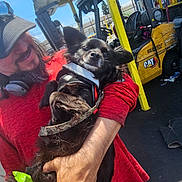 Bruce joined the competition — help win amazing prizes! man, dog, black_dog, holding, red_shirt, cap, headphones, harness, outdoor, industrial, forklift, yellow, smile, happy, pet, leash, daylight, person, vehicle, worksite