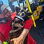 man, dog, black_dog, holding, red_shirt, cap, headphones, harness, outdoor, industrial, forklift, yellow, smile, happy, pet, leash, daylight, person, vehicle, worksite