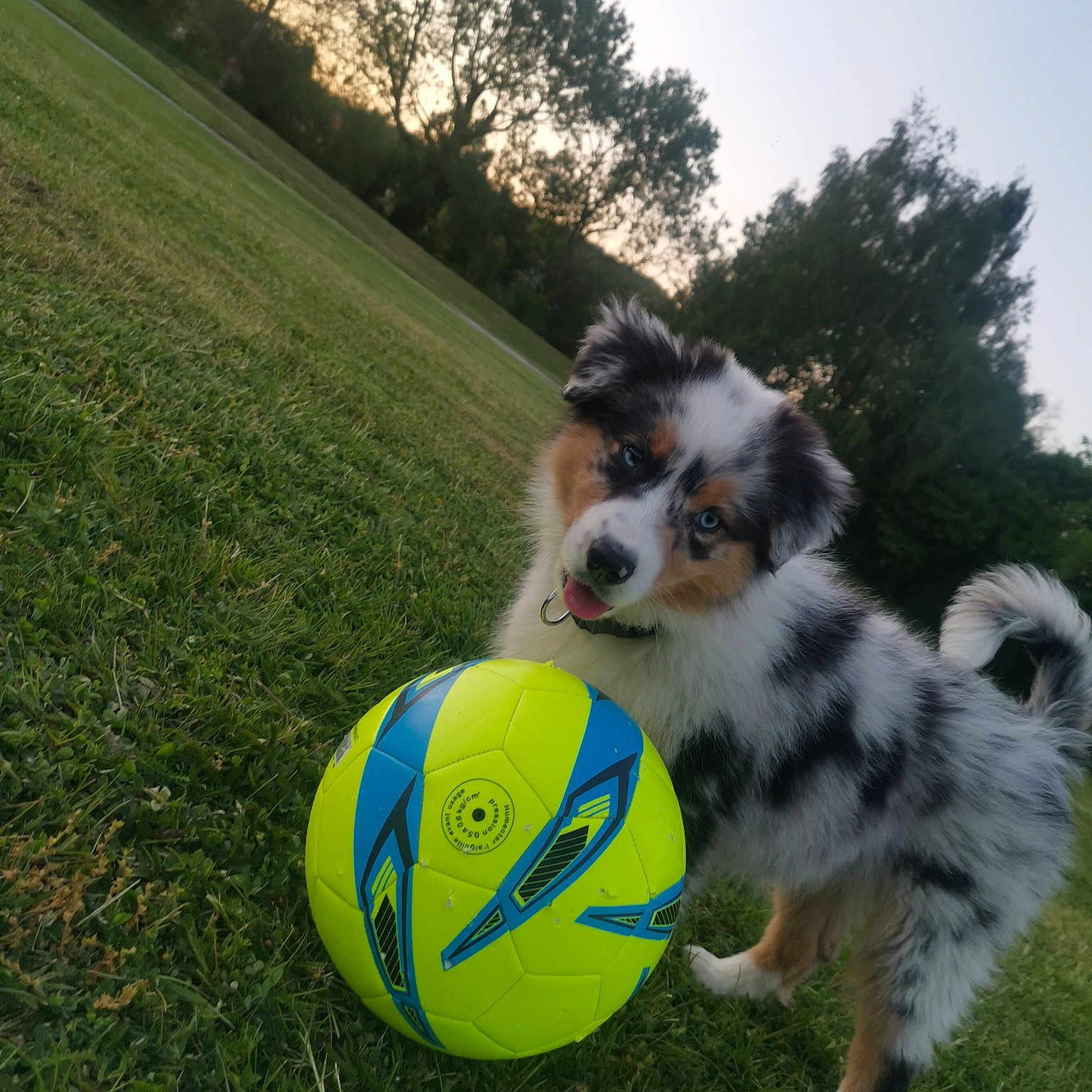 Nina