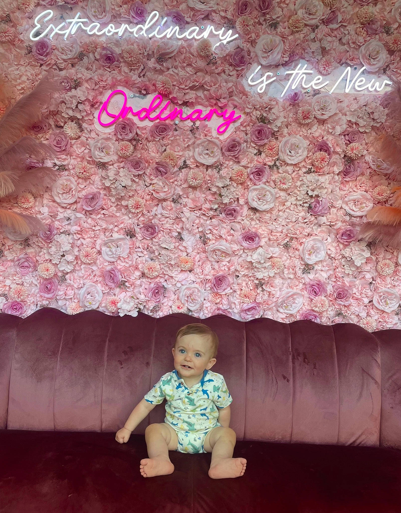 Lucas is registered to the contest to win money with this photo: arm, baby, baby_toddler_clothing, eye, flash_photography, font, happy, joy, line, magenta, pattern, people_in_nature, person, pink, plant, rectangle, red, sleeve, textile, tints_and_shades