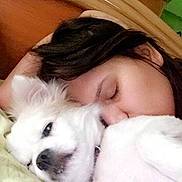 Pufy participe au concours pour gagner de l'argent avec cette photo : affection, animal, bed, closeup, comfort, cozy, dog, fur, headboard, human_face, indoor, love, peaceful, person, pet, relaxation, resting, sleeping, snuggling, white_dog