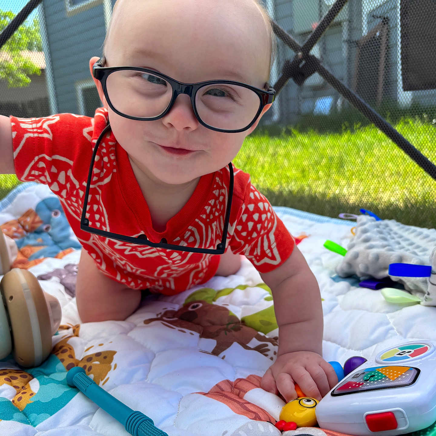 Oswynn is registered to the contest to win money with this photo: baby, backyard, child, colorful, crawling, curious, fabric, face, glasses, grass, hand, house, outdoor, person, playtime, quilt, red_clothing, smiling, sunlight, toys