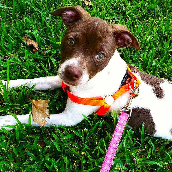 Ellie Mae joined the competition — help win amazing prizes!