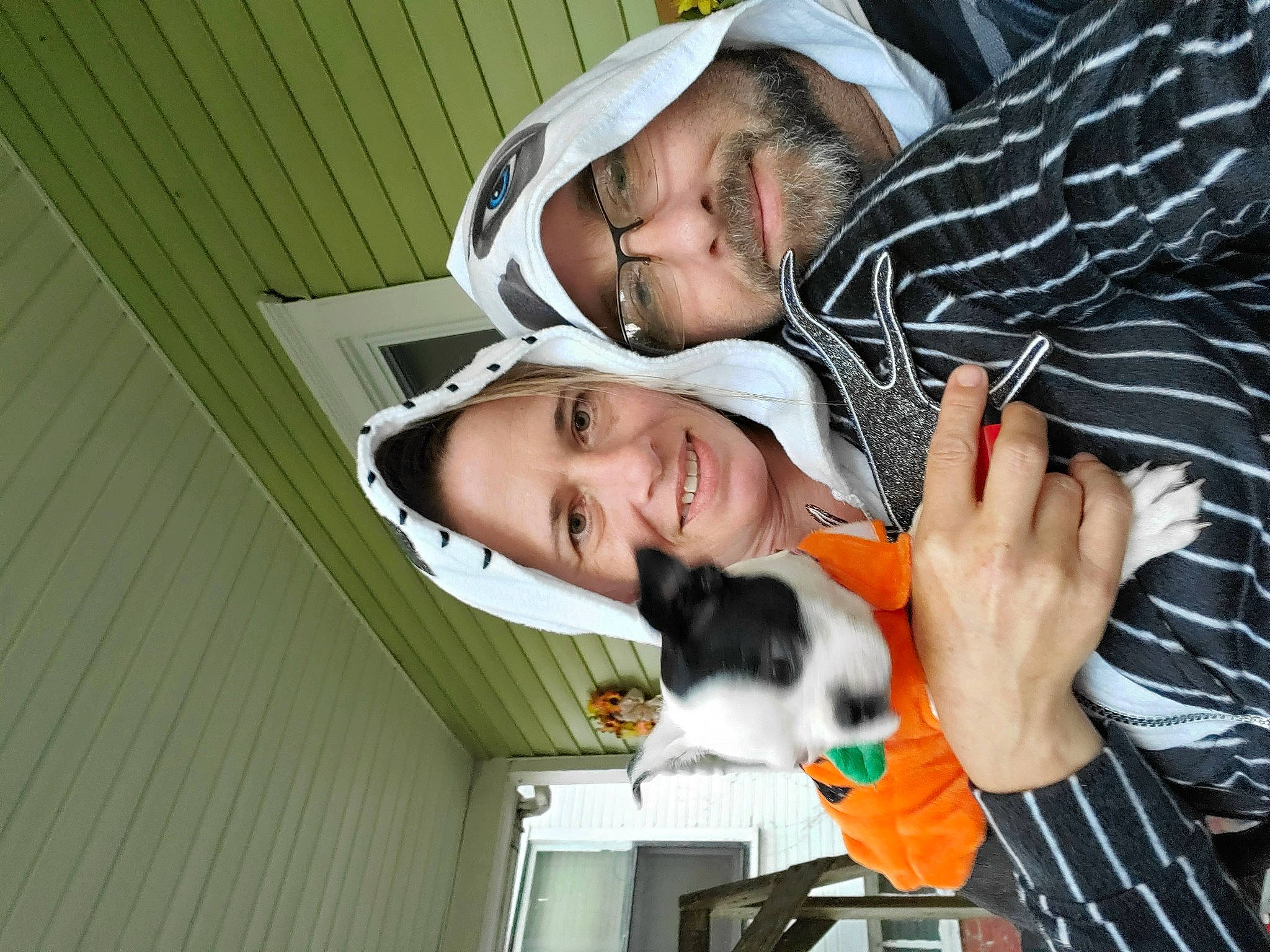 Marley is registered to the contest to win money with this photo: cat, smile