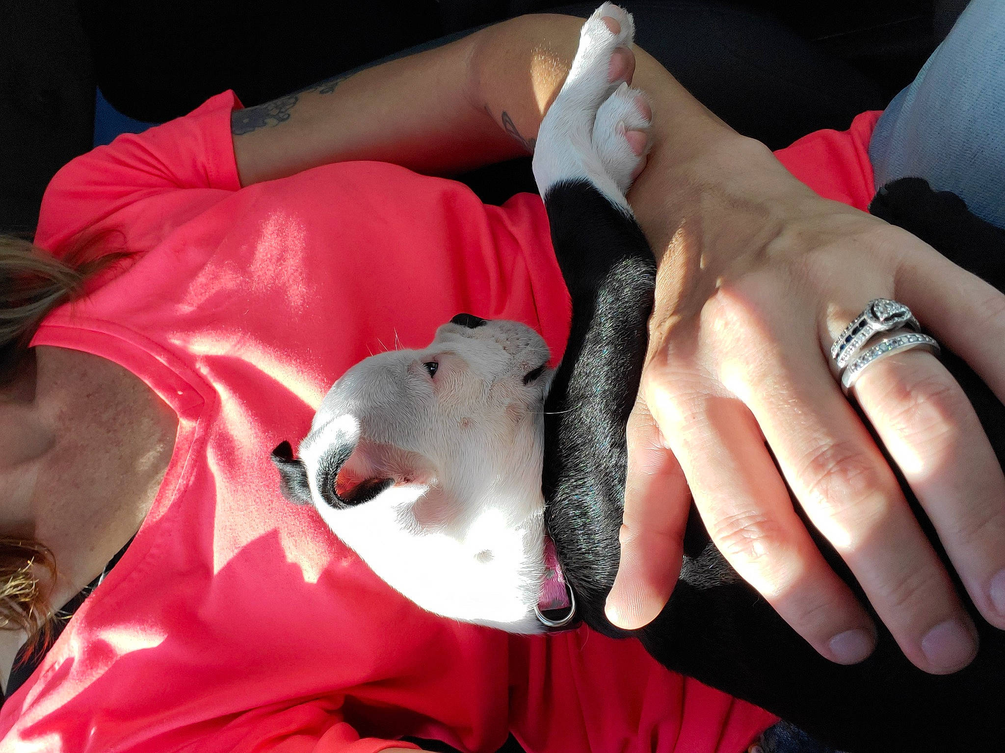 Marley joined the competition — help win amazing prizes! finger, hand, nail