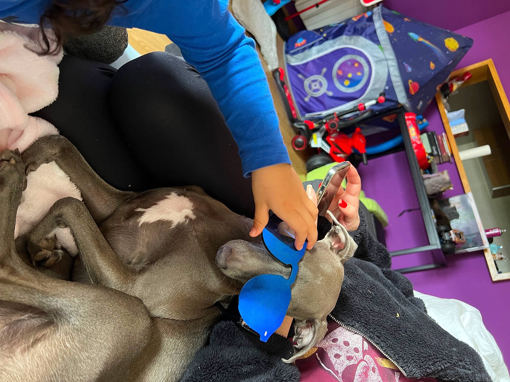 Zoe participe au concours pour gagner de l'argent avec cette photo : bag, child, comfort, electric_blue, eyewear, fish, fun, fur, human_leg, leisure, luggage_and_bags, nail, play, recreation, room, stuffed_toy, sunglasses, textile, thigh, toy