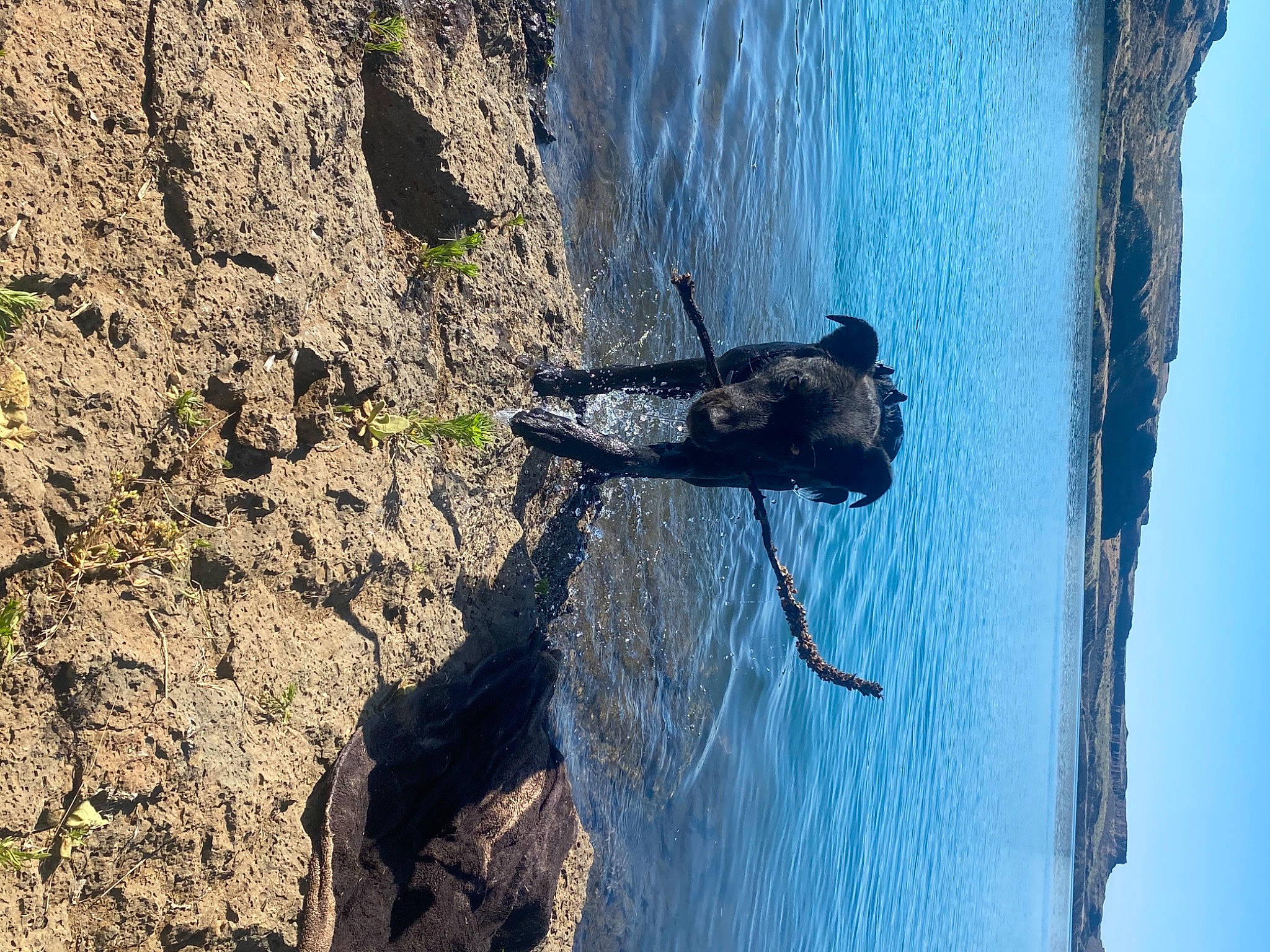 Tucker is registered to the contest to win money with this photo: adventure, bedrock, fault, lake, plant, recreation, reflection, rock, shadow, sky, slope, soil, sport_climbing, tree, trunk, water, winter, wire, wood