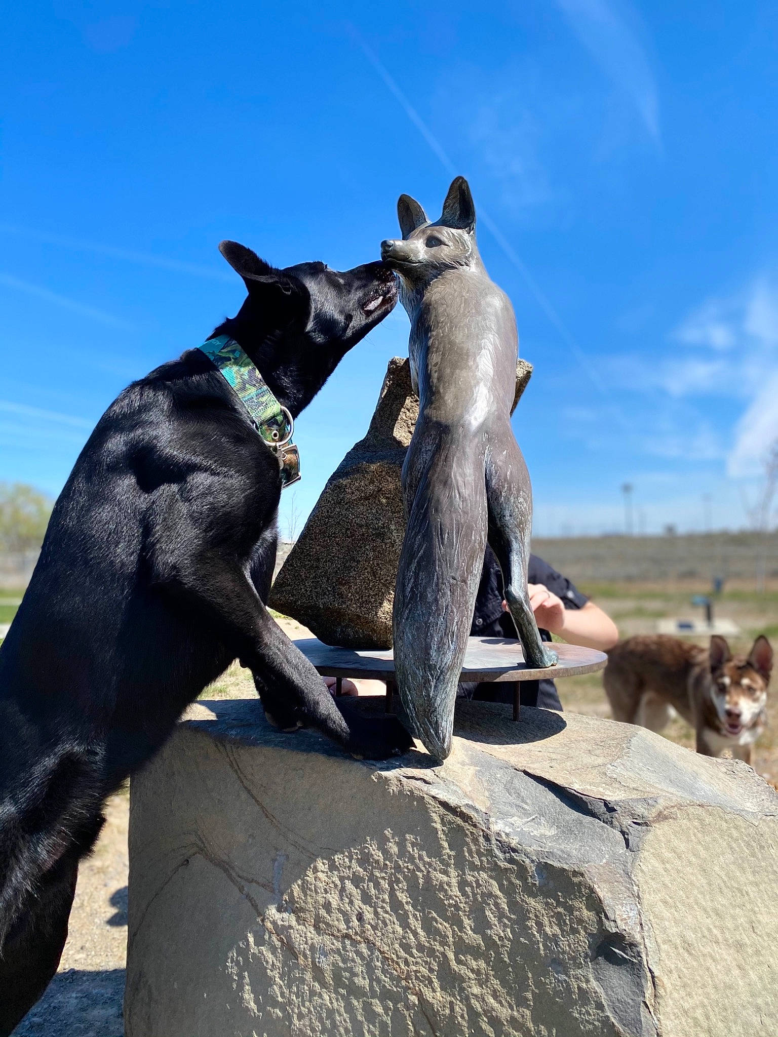 Tucker joined the competition — help win amazing prizes! art, canidae, carmine, carnivore, cloud, companion_dog, dog, dog_breed, dog_collar, fawn, landscape, leisure, mammal, monument, recreation, sculpture, sky, sporting_group, vertebrate, working_animal