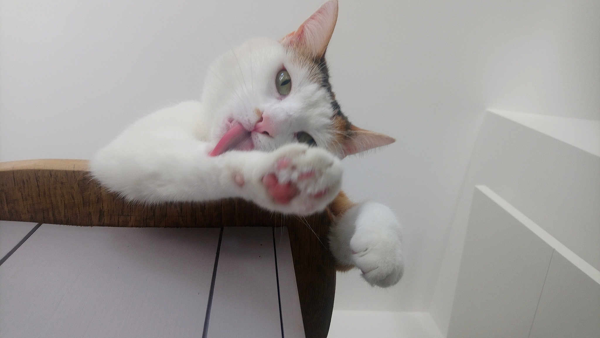 Nella