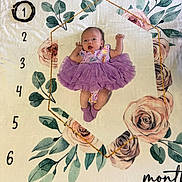 Rosalie is registered to the contest to win money with this photo: baby, infant, newborn, tutu, purple_dress, blanket, floral_pattern, milestone_blanket, month_markers, numbers, rose, leaves, lying_down, socks, portrait, top_view, soft_texture, cute, newborn_photography, indoors
