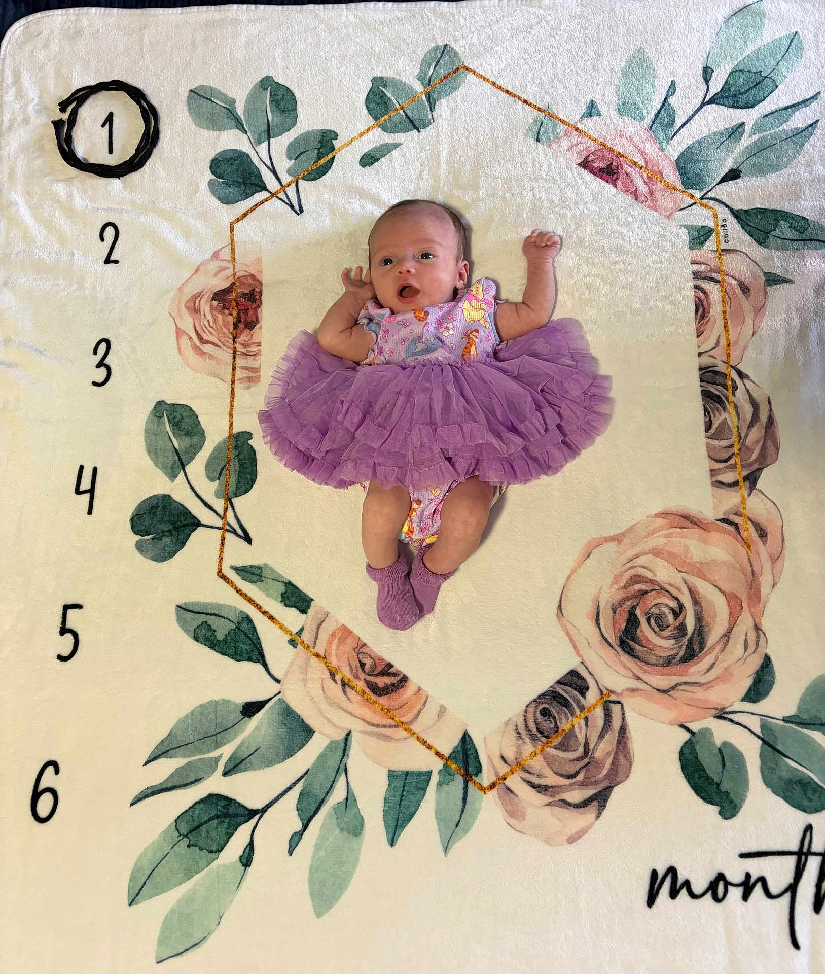 Rosalie is registered to the contest to win money with this photo: baby, infant, newborn, tutu, purple_dress, blanket, floral_pattern, milestone_blanket, month_markers, numbers, rose, leaves, lying_down, socks, portrait, top_view, soft_texture, cute, newborn_photography, indoors