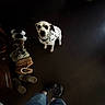 Pepper is registered to the contest to win money with this photo: dalmatian, dog, shoes, footwear, floor, wooden_floor, black_and_white, spots, pet, indoor, person, legs, pants, sneakers, casual, home, dark, light, waiting, curious