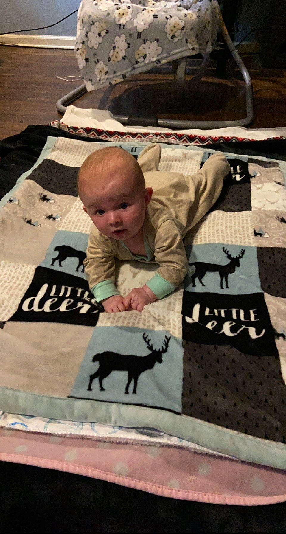 Damon joined the competition — help win amazing prizes! adaptation, carnivore, domestic_short_haired_cat, event, felidae, flooring, font, fur, grass, landscape, linens, pattern, person, recreation, sand, small_to_medium_sized_cats, t_shirt, terrestrial_animal, toddler, wood