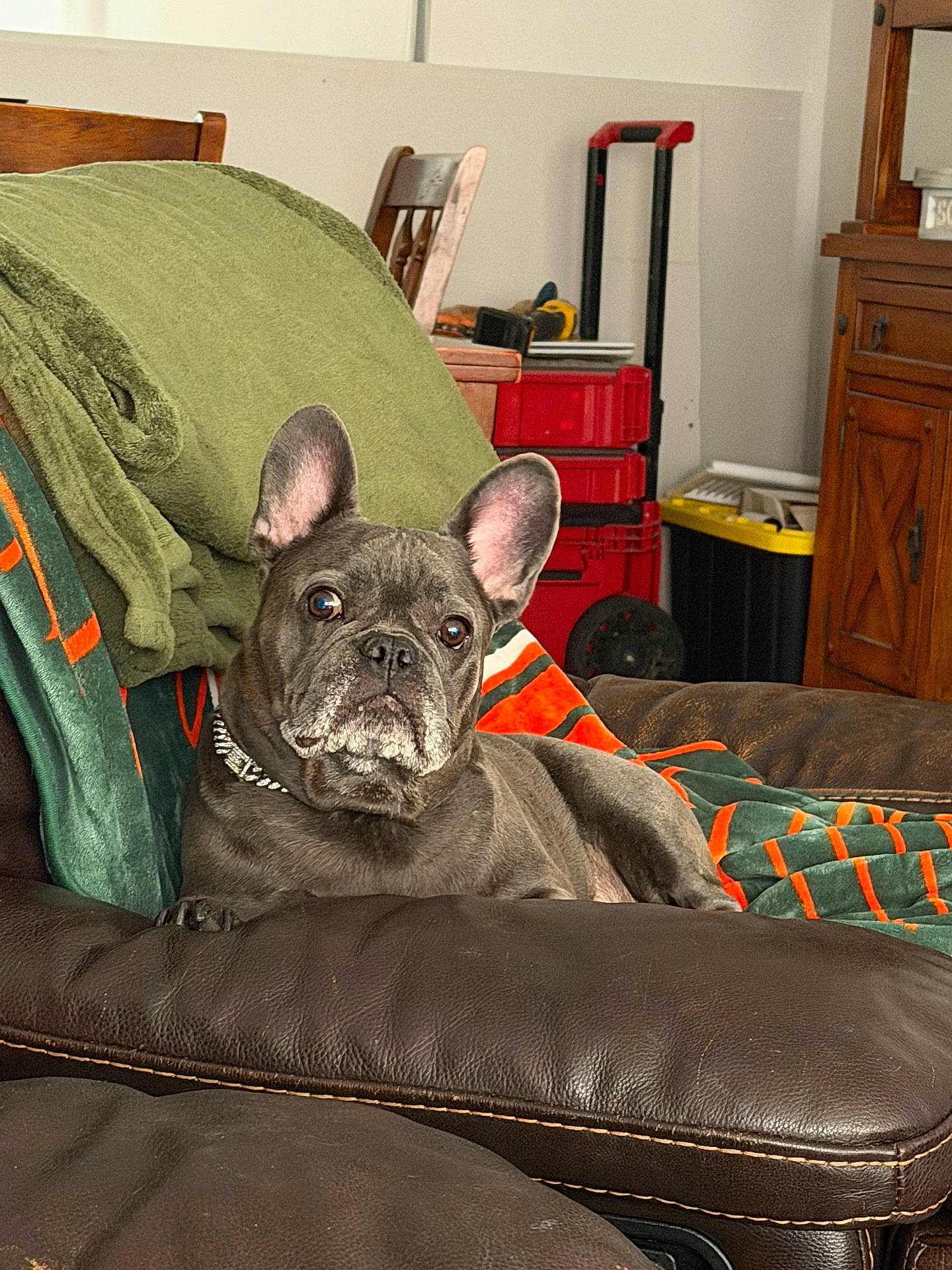 Sophie