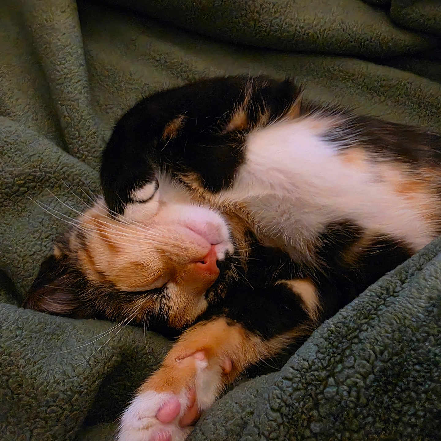 Charlee