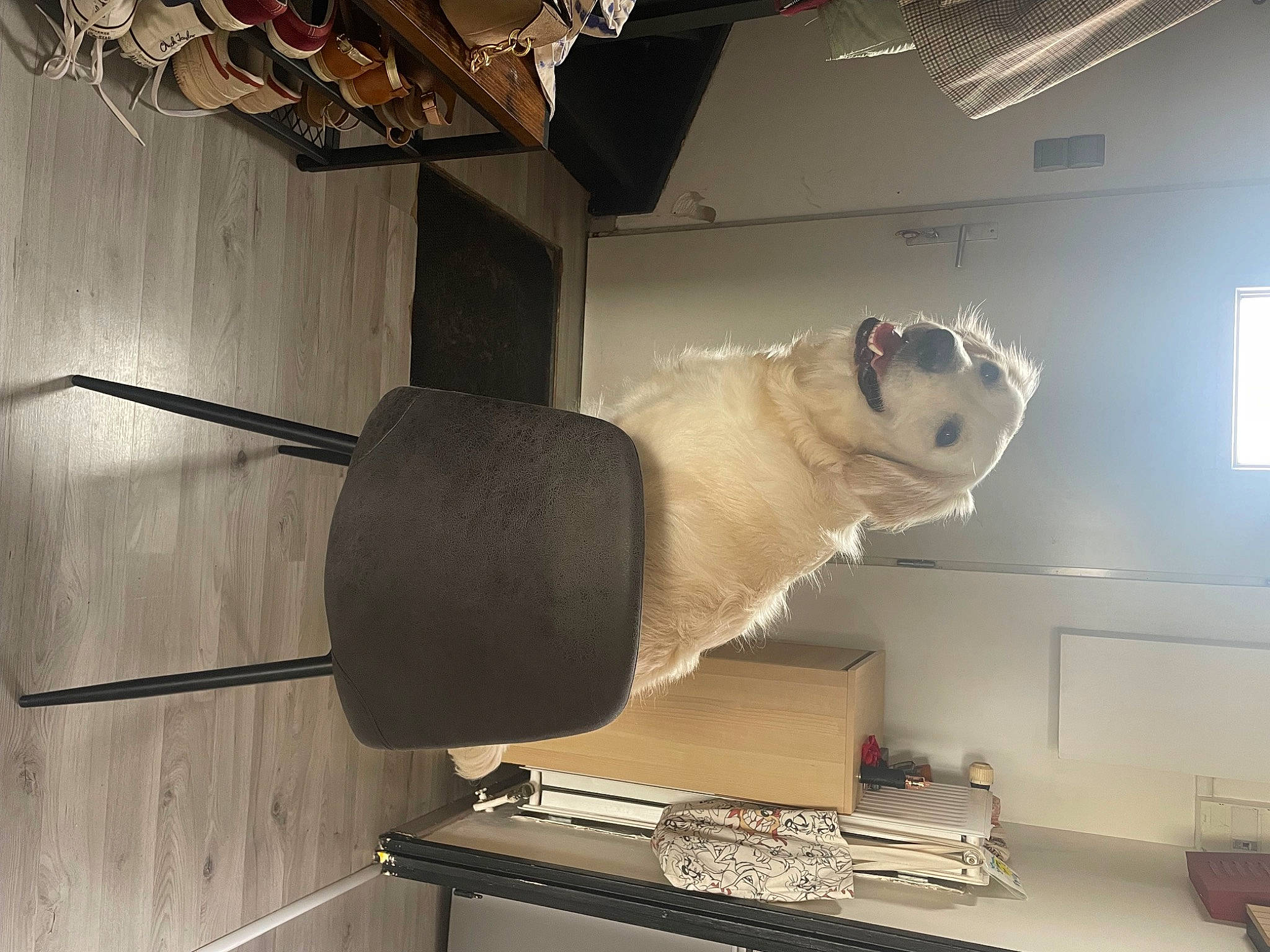 Sora participe au concours pour gagner de l'argent avec cette photo : anthropology, art, ceiling, hardwood, interior_design, machine, metal, museum, plaster, plywood, room, sculpture, terrestrial_animal, tourist_attraction, visual_arts, wood