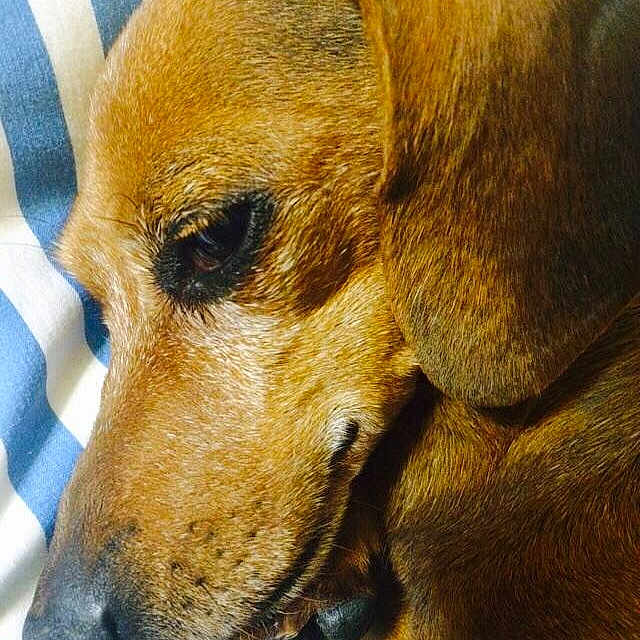 Punkn joined the competition — help win amazing prizes!