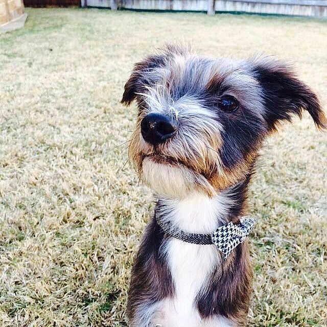 Chuck