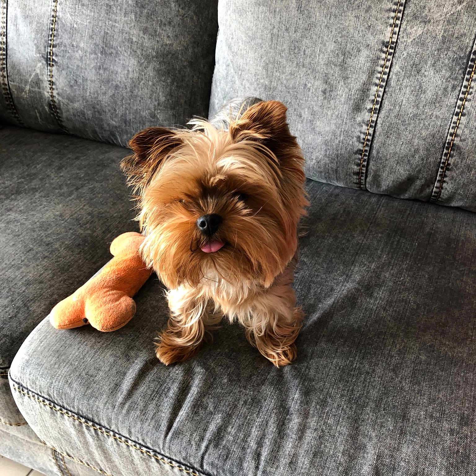 Lucy