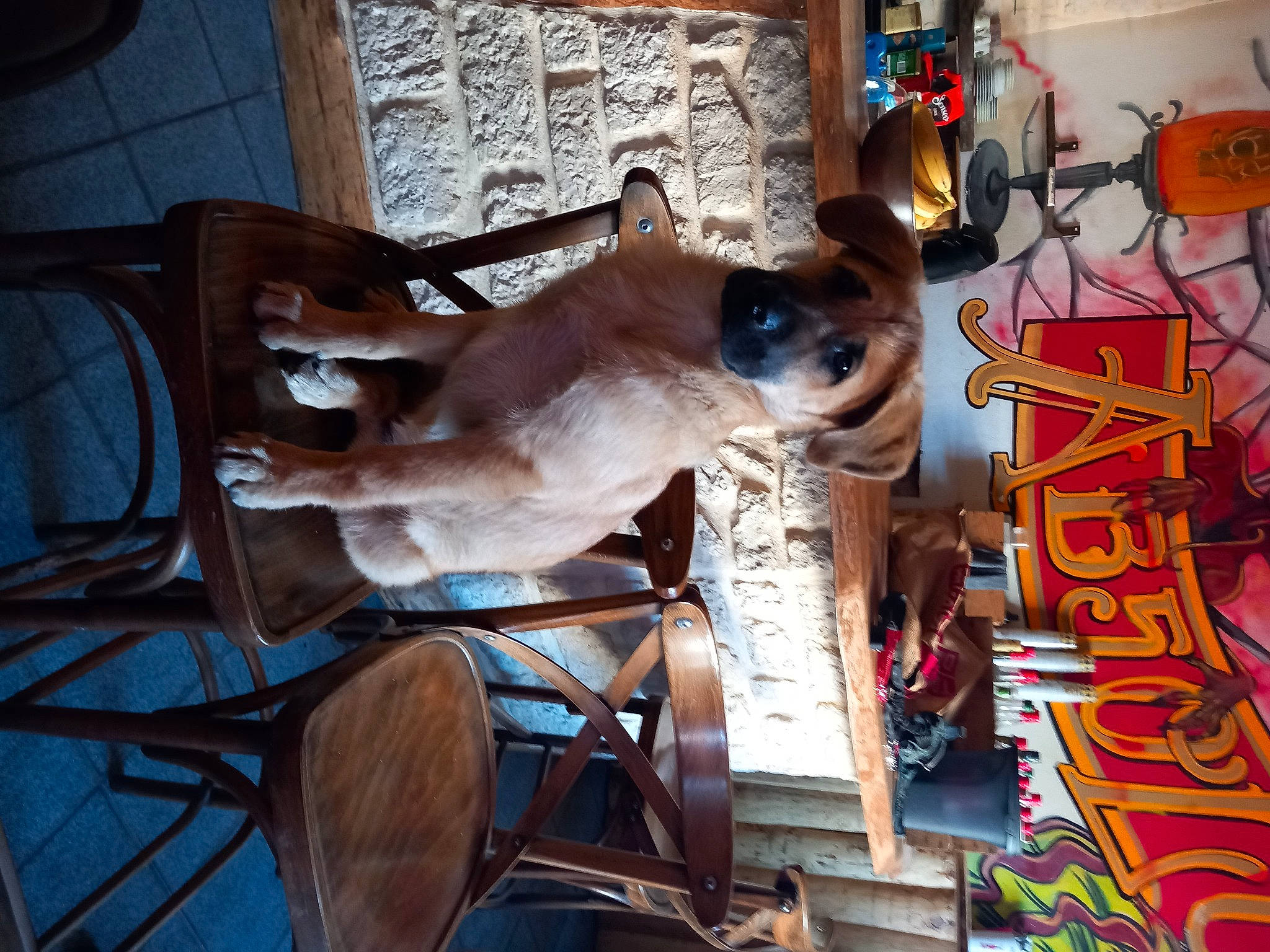 Taïko a rejoint le concours — aidez-le/la à gagner de superbes lots ! art, building, dog, machine, metal, room, visual_arts, wood