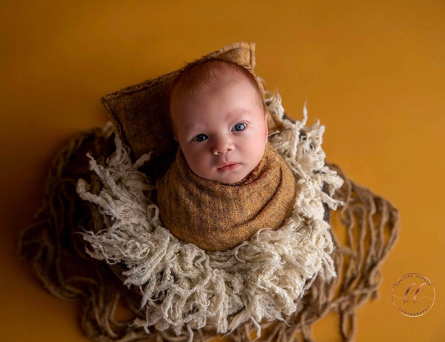 Braxley joined the competition — help win amazing prizes! comfort, dress, embellishment, eye, eyelash, face, fashion_accessory, fashion_design, flash_photography, fur, head, iris, jacket, neck, outerwear, person, scarf, sleeve, toddler, wood