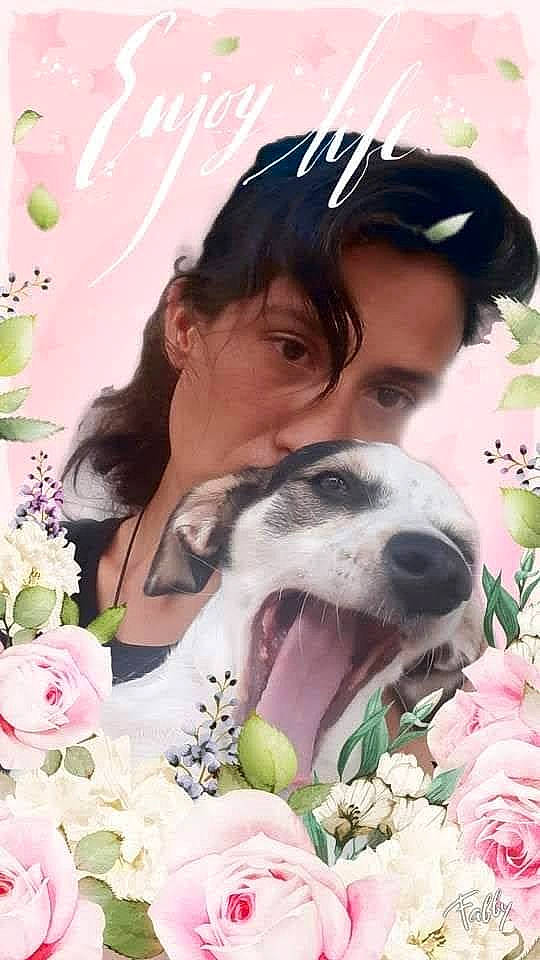 Snuggles joined the competition — help win amazing prizes! baseball_cap, canidae, cap, carnivore, companion_dog, cut_flowers, dog, dog_breed, event, fashion_accessory, flower, flower_arranging, happy, hat, peach, petal, pink, plant, rose, sporting_group